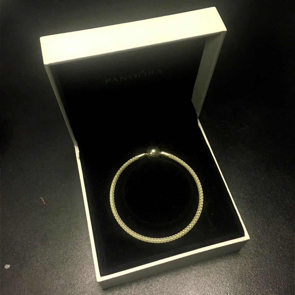 Pandora Moments Mesh Bracelet - Silver